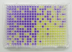 Ames - Liquid Typhimurium Strain, TA98