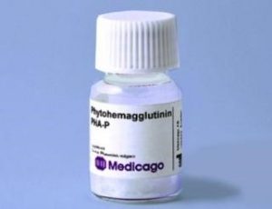 Phaseolus vulgaris lectin P (PHA-P) (10 mg)