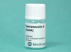 Concanavalin A (Con A) (100 mg)