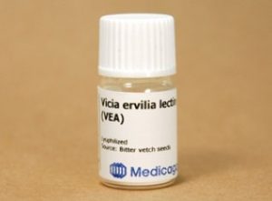 Vicia Ervilia Lectin (VEA) (10 mg)