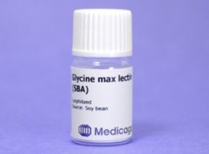 Glycine Max Lectin (SBA) (10 mg)