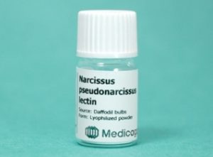Narcissus Pseudonarcissus Lectin (NPA/NPL) (10 mg)