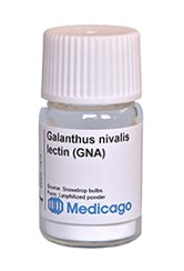 Galanthus Nivalis Lectin (GNA) (5 mg)