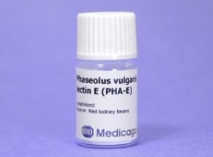 Phaseolus Vulgaris Lectin E (PHA-E) (5 mg)
