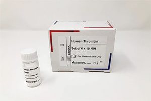 Human Thrombin (6 x 10 NIH)