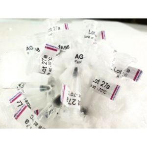 Ames - Semisolid S. typhimurium strains, TA97a